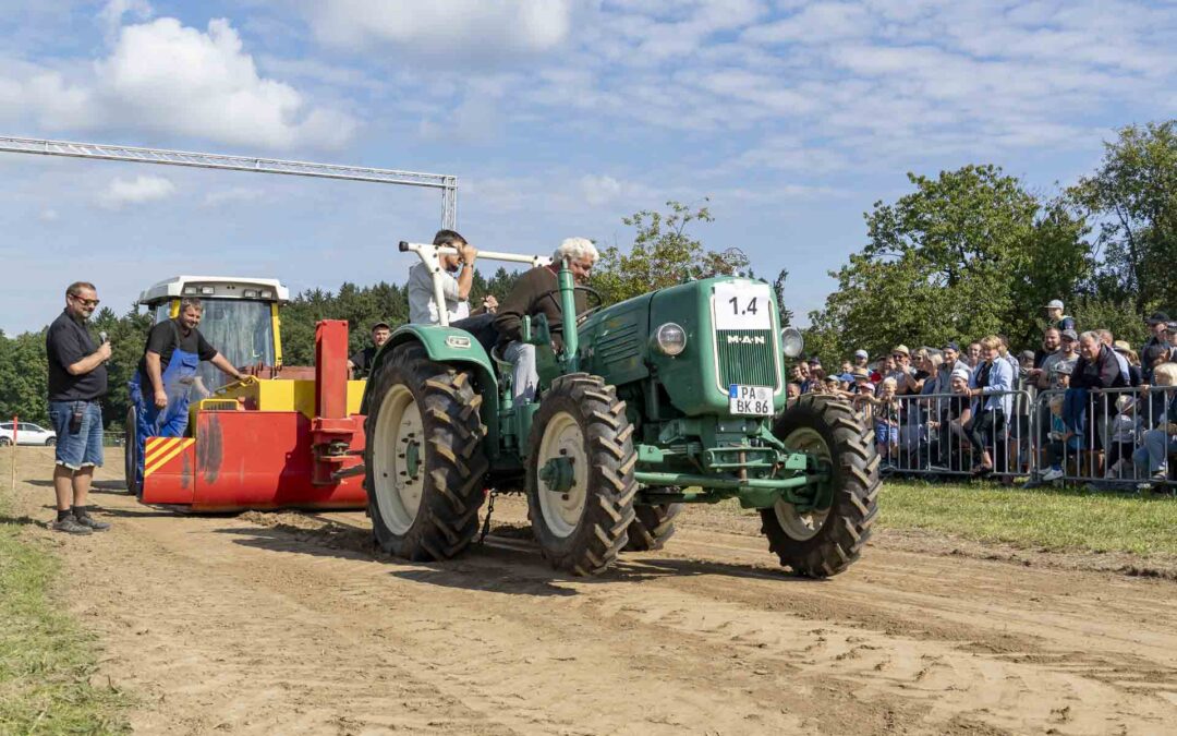 Bulldog Schinda e. V. 2025