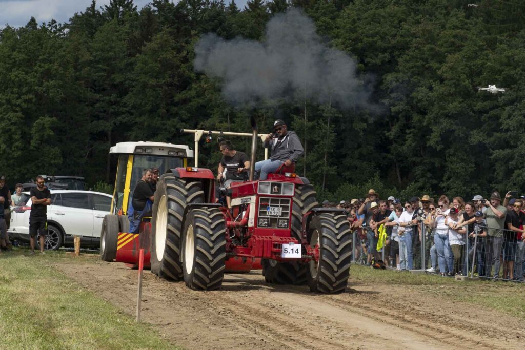 Bulldog_Schinda_2025_siglfoto_261