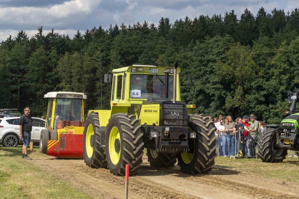 Bulldog_Schinda_2025_siglfoto_283