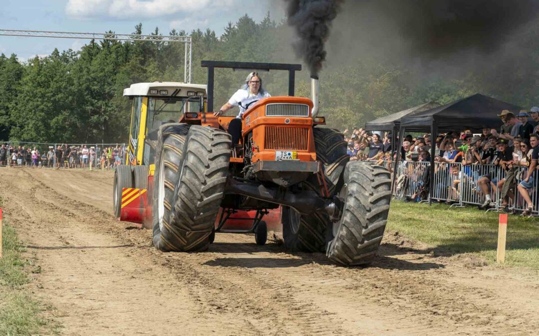 Bulldog Schinda e. V. 2026
