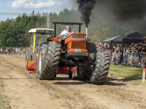 Bulldog Schinda e. V. 2026